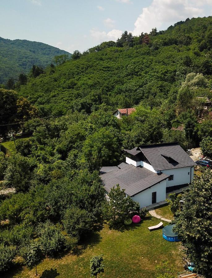 UpForest Villa Călimăneşti Extérieur photo