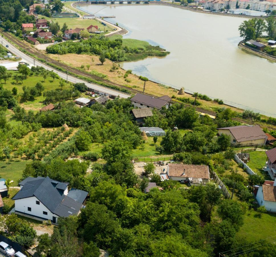 UpForest Villa Călimăneşti Extérieur photo