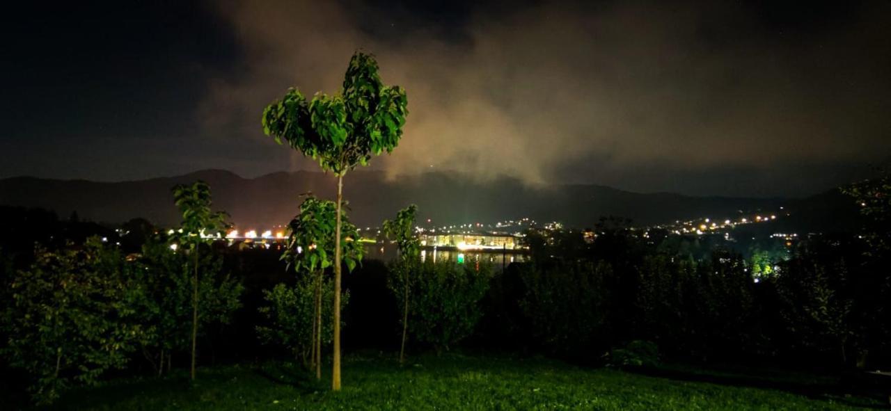UpForest Villa Călimăneşti Extérieur photo